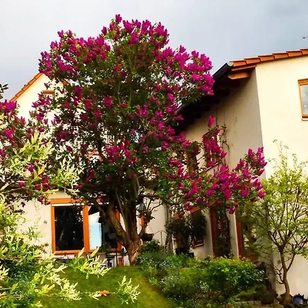 Herzensort - Wohlfuehloase Fuer 10 Personen